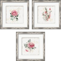 Framed French Romance  3 Piece Framed Art Print Set