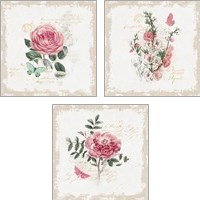 Framed French Romance  3 Piece Art Print Set