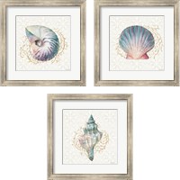 Framed 'Ocean Dream 3 Piece Framed Art Print Set' border=