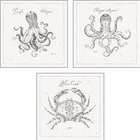 Framed 'Underwater Life 3 Piece Art Print Set' border=