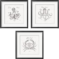 Framed Underwater Life 3 Piece Framed Art Print Set