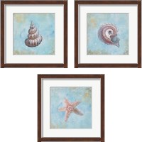 Framed 'Treasures from the Sea Watercolor 3 Piece Framed Art Print Set' border=