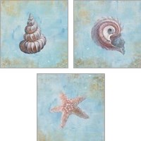 Framed 'Treasures from the Sea Watercolor 3 Piece Art Print Set' border=
