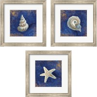Framed 'Treasures from the Sea Indigo 3 Piece Framed Art Print Set' border=