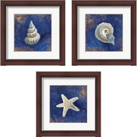 Framed 'Treasures from the Sea Indigo 3 Piece Framed Art Print Set' border=