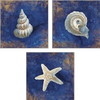 Framed 'Treasures from the Sea Indigo 3 Piece Art Print Set' border=