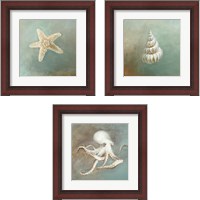 Framed Treasures from the Sea 3 Piece Framed Art Print Set