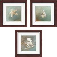 Framed 'Treasures from the Sea 3 Piece Framed Art Print Set' border=