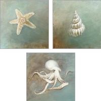 Framed Treasures from the Sea 3 Piece Art Print Set