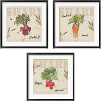 Framed 'Farmers Feast Harvest 3 Piece Framed Art Print Set' border=