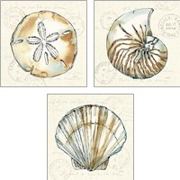 Framed 'Coastal Breeze 3 Piece Art Print Set' border=