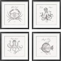 Framed Underwater Life 4 Piece Framed Art Print Set