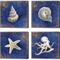 Framed 'Treasures from the Sea Indigo 4 Piece Canvas Print Set' border=
