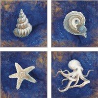 Framed 'Treasures from the Sea Indigo 4 Piece Art Print Set' border=