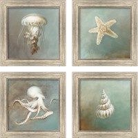 Framed 'Treasures from the Sea 4 Piece Framed Art Print Set' border=