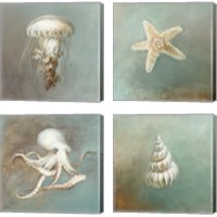 Framed 'Treasures from the Sea 4 Piece Canvas Print Set' border=