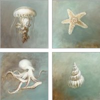 Framed Treasures from the Sea 4 Piece Art Print Set