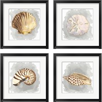 Framed 'Shells on Grey 4 Piece Framed Art Print Set' border=