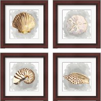 Framed 'Shells on Grey 4 Piece Framed Art Print Set' border=