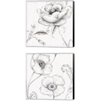 Framed Blossom Sketches 2 Piece Canvas Print Set
