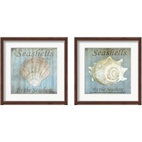 Framed 'Seashells by the Seashore 2 Piece Framed Art Print Set' border=