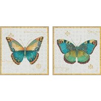 Framed 'Bohemian Wings Butterfly 2 Piece Art Print Set' border=