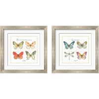 Framed 'Rainbow Seeds Butterflies 2 Piece Framed Art Print Set' border=