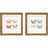 Framed Rainbow Seeds Butterflies 2 Piece Framed Art Print Set