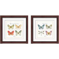 Framed Rainbow Seeds Butterflies 2 Piece Framed Art Print Set