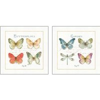 Framed 'Rainbow Seeds Butterflies 2 Piece Art Print Set' border=