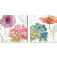 Framed 'Rainbow Seeds Flowers 2 Piece Art Print Set' border=
