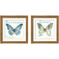 Framed 'My Greenhouse Butterflies 2 Piece Framed Art Print Set' border=