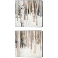 Framed Warm Winter Light 2 Piece Canvas Print Set