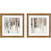 Framed Warm Winter Light 2 Piece Framed Art Print Set