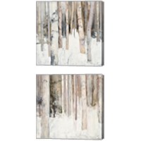 Framed 'Warm Winter Light 2 Piece Canvas Print Set' border=