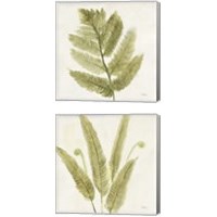 Framed 'Forest Ferns 2 Piece Canvas Print Set' border=