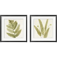 Framed Forest Ferns 2 Piece Framed Art Print Set