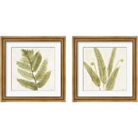 Framed 'Forest Ferns 2 Piece Framed Art Print Set' border=