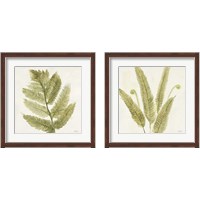 Framed 'Forest Ferns 2 Piece Framed Art Print Set' border=