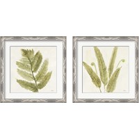 Framed 'Forest Ferns 2 Piece Framed Art Print Set' border=