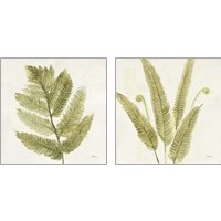 Framed 'Forest Ferns 2 Piece Art Print Set' border=