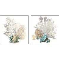 Framed Coral 2 Piece Art Print Set