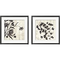 Framed 'Shadow on Wood 2 Piece Framed Art Print Set' border=