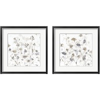 Framed Garden Shadows on White 2 Piece Framed Art Print Set