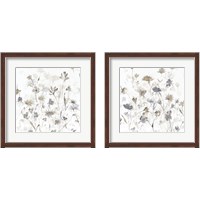 Framed Garden Shadows on White 2 Piece Framed Art Print Set