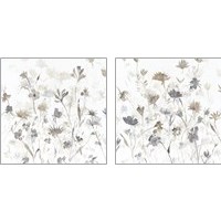 Framed 'Garden Shadows on White 2 Piece Art Print Set' border=
