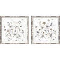 Framed 'Garden Shadows on White 2 Piece Framed Art Print Set' border=