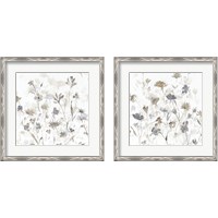 Framed 'Garden Shadows on White 2 Piece Framed Art Print Set' border=