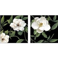 Framed 'Sweet Magnolias  2 Piece Art Print Set' border=