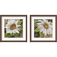 Framed 'White Sunflower 2 Piece Framed Art Print Set' border=